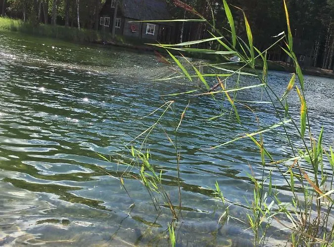 Alloggio per agriturismo Forell Pidula